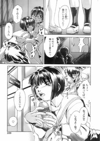 Page 228