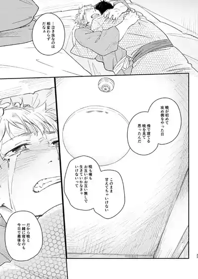 Page 32 of Koi-nobori, Houmatsu