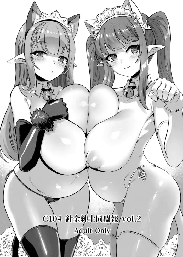 C104 Harigane Shinshi Doumeihou Vol.2