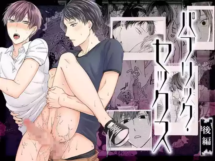 paburikku sekkusu kōhen