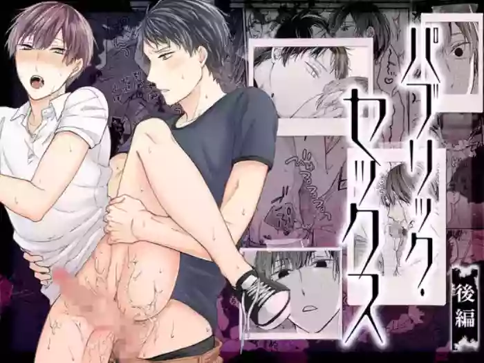 paburikku sekkusu kōhen