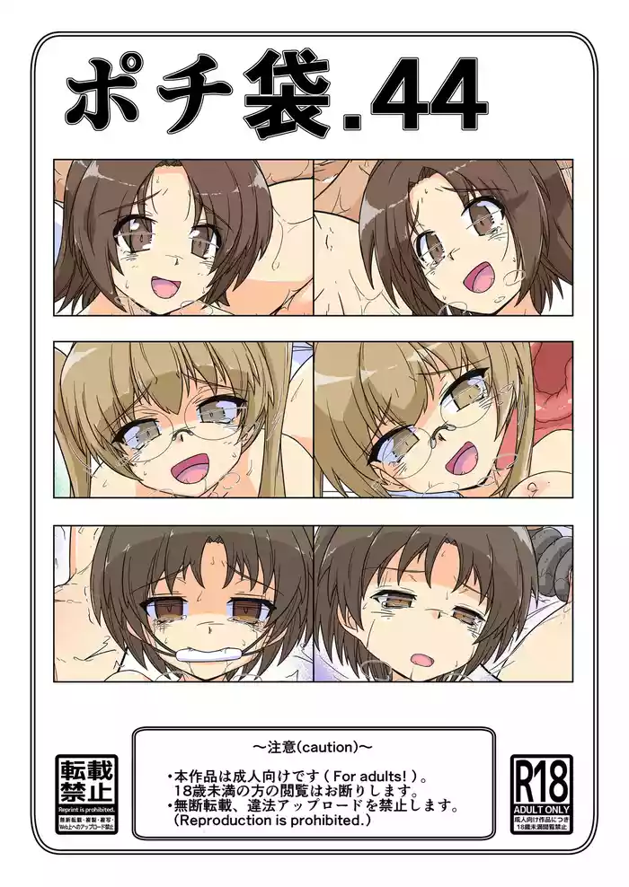 Pochibukuro 44_Usagi-san Team Ue