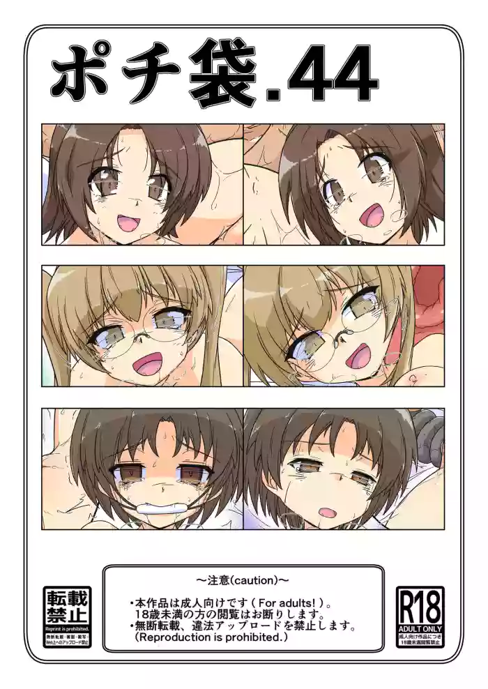 Pochibukuro 44_Usagi-san Team Ue