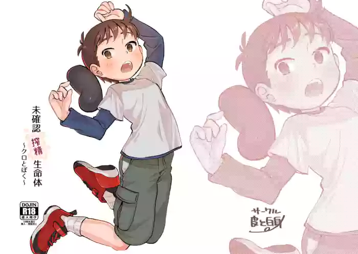 Mikakunin Sakusei Seimeitai