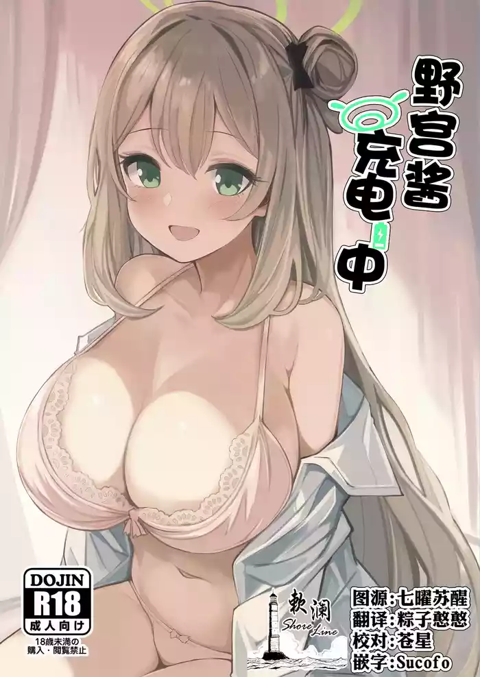 Nonomi Charge | 野宫酱充电中