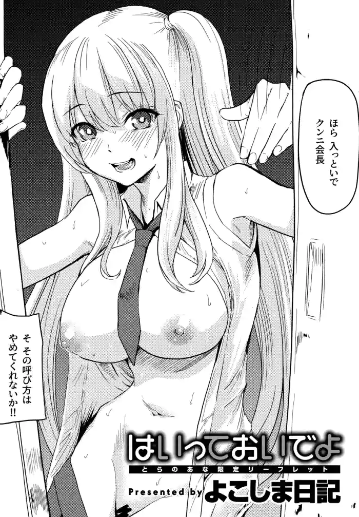 Haitte Oide yo Toranoana Tokuten 4P Leaflet