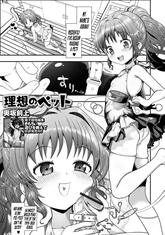 Risou no Pet gallery cover