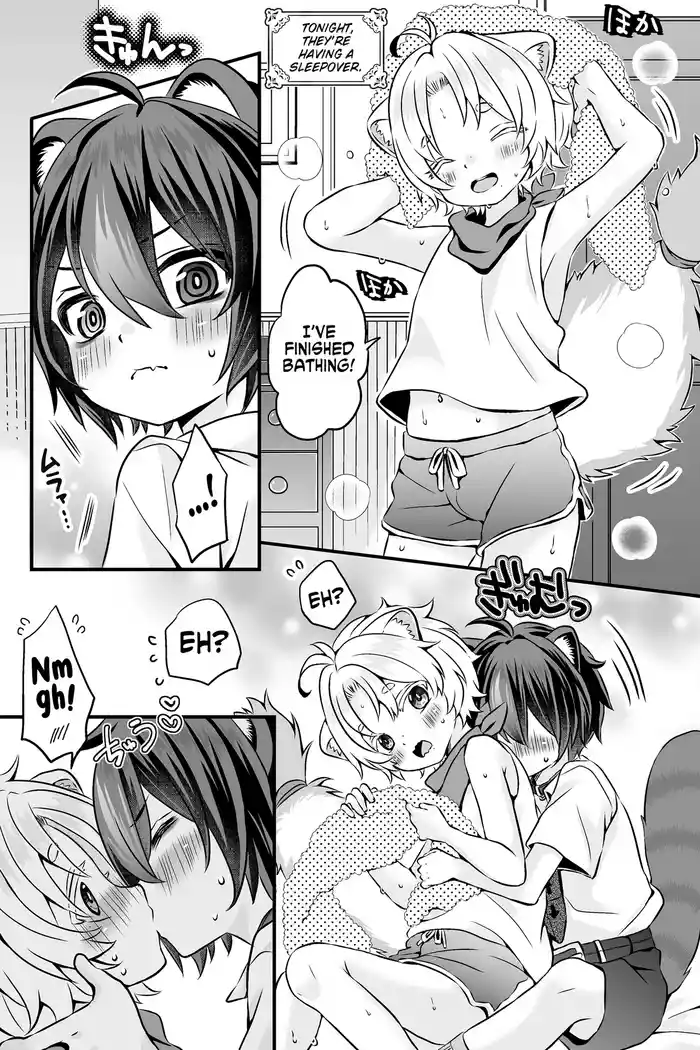 Araiguma to Ferret no Otokonoko-tachi no Manga | Ferret and raccoon boys manga