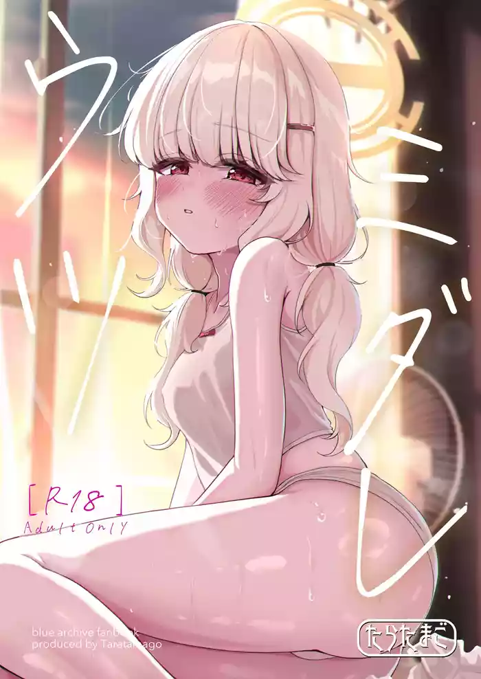 Utsumidare gallery cover