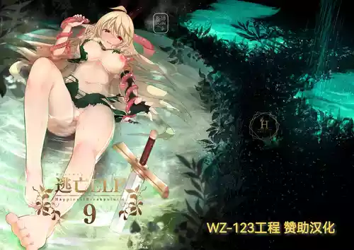 [Hakkindo (Suisui)] Toubou Elf 9 [Chinese] [WZ-123工程汉化]