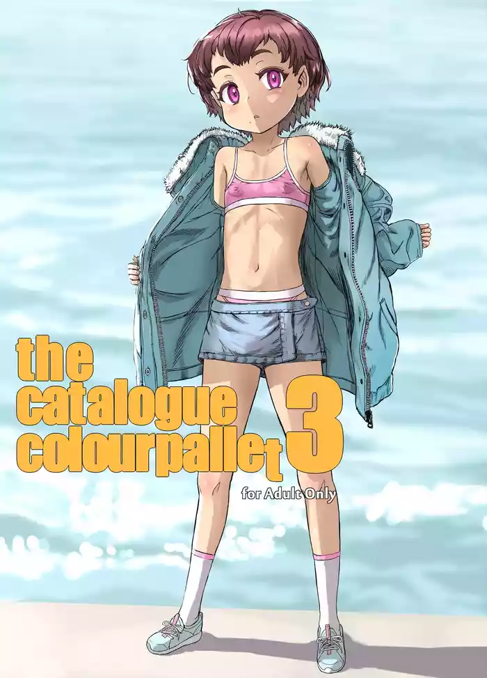 the catalogue colourpallet 3 gallery cover