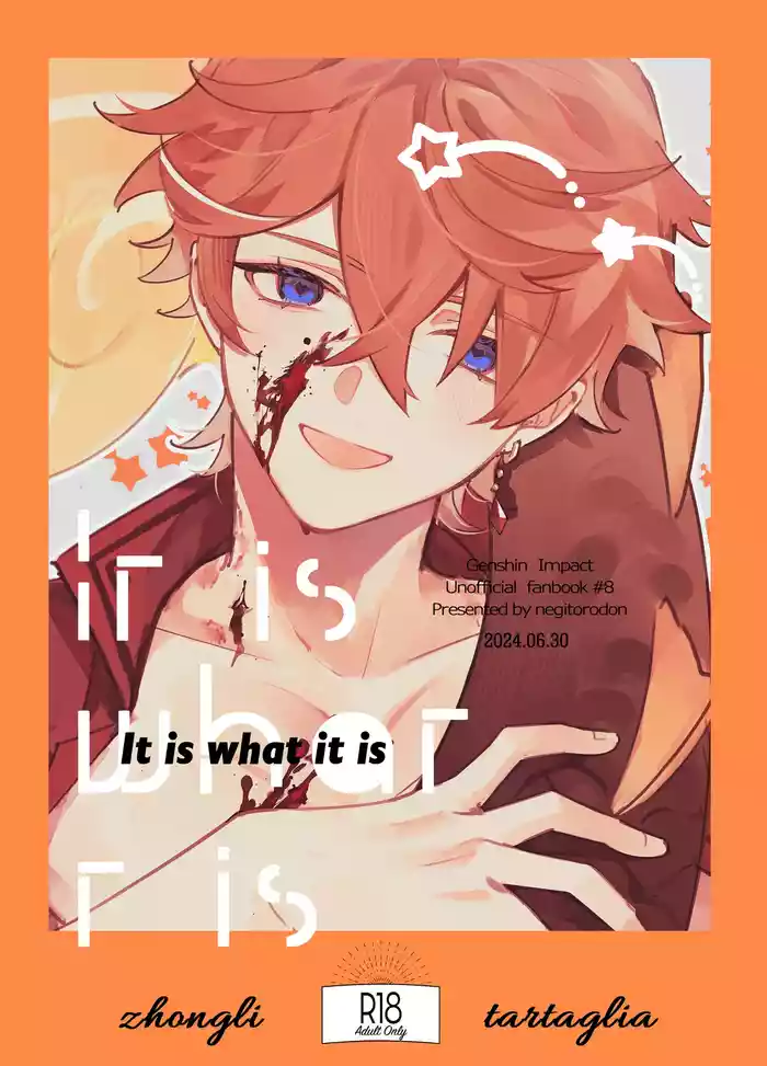 It is what it is gallery cover featuring tartaglia from genshin impact