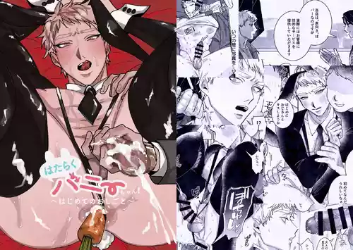 [Taihen yoku dekimashita.] Hataraku bunny chan ~ Hajimete no oshigoto ~