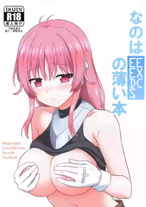 (C106) [Kuchiki no Uro (Enma Koorogi)] Nanoha EXCEEDS no Usui Hon (Mahou Shoujo Lyrical Nanoha)