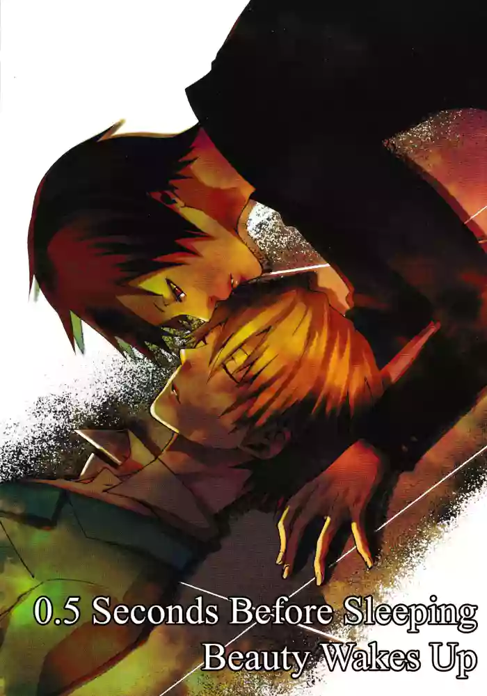 0.5 Seconds Before Sleeping Beauty Wakes Up – Durarara!! dj