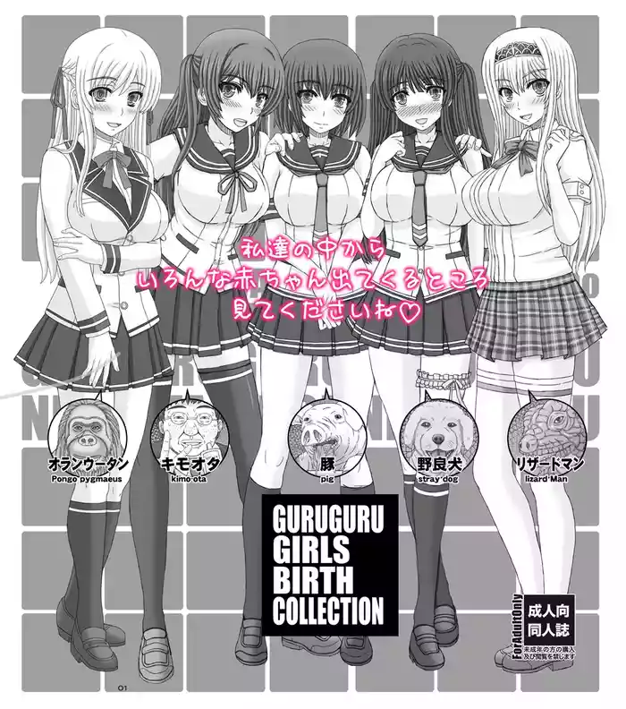 Guruguru Girl's Bar Collection gallery cover from original