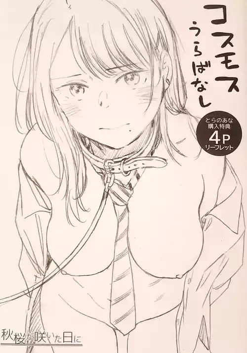 [Arai Kei] Cosmos ga Saita hi ni Toranoana Tokuten 4P Leaflet