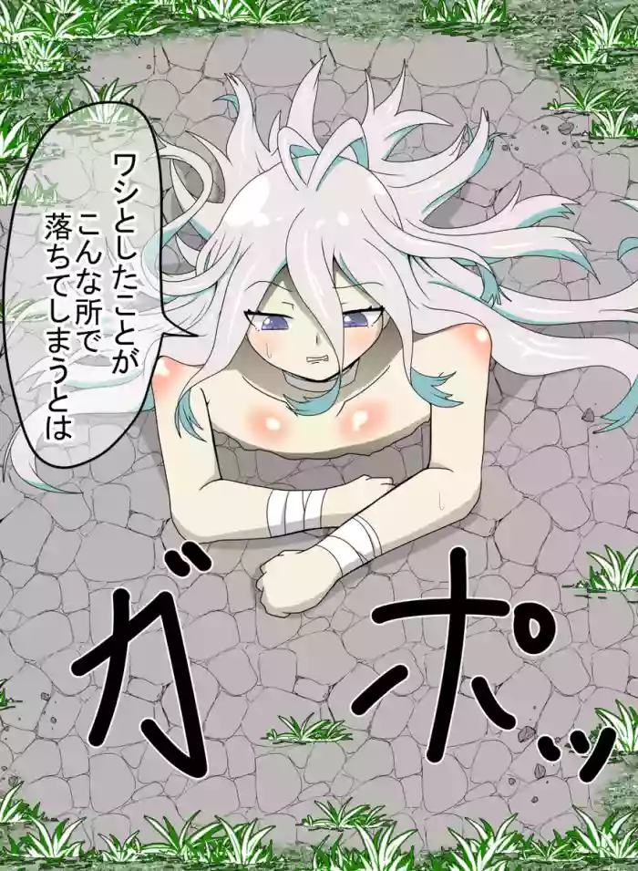 Kankaku Shadan Otoshiana Seizon Flag