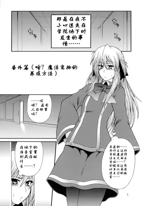 [Circle Roman Hikou (Taihei Tengoku)] Abnormal QMA (Quiz Magic Academy) [Chinese] [个人汉化]