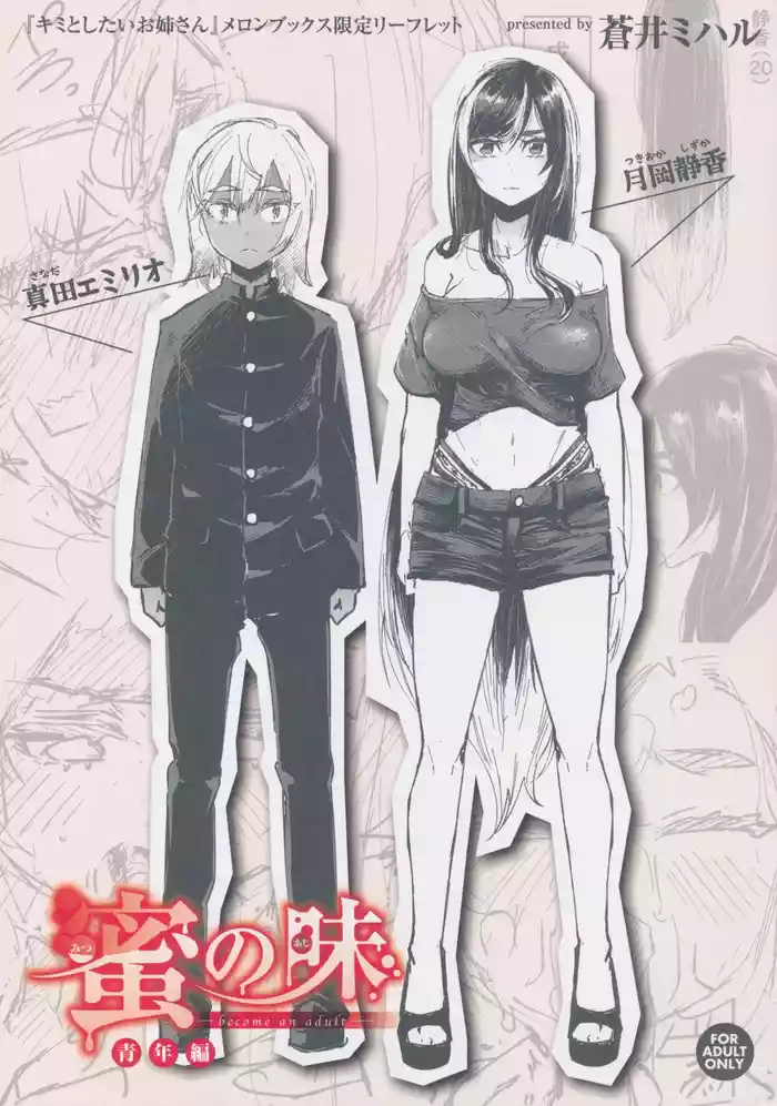 Kimi to Shitai Onee-san Melonbooks Tokuten 4P Leaflet