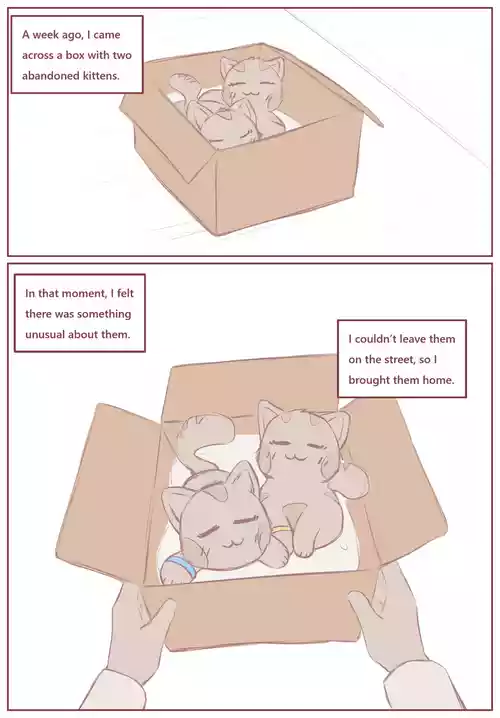 My Submissive Little Kitties