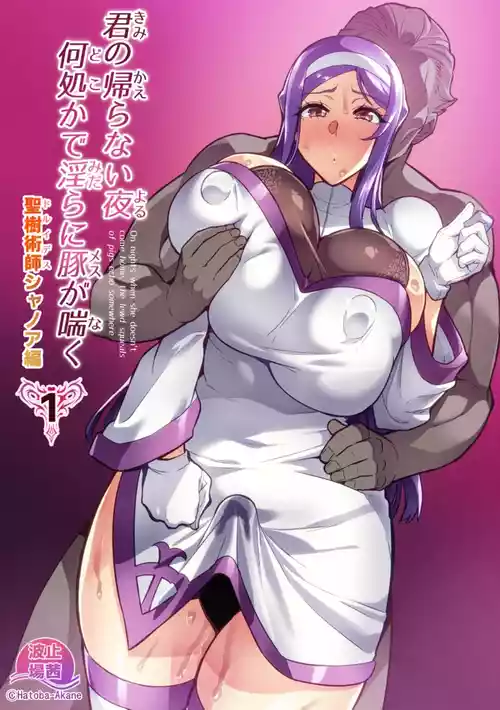 [Hatoba Akane] Kimi ga Kaeranai Yoru Dokoka de Midara ni Buta ga Aeku Ch. 1-2 [Chinese] [MTL]