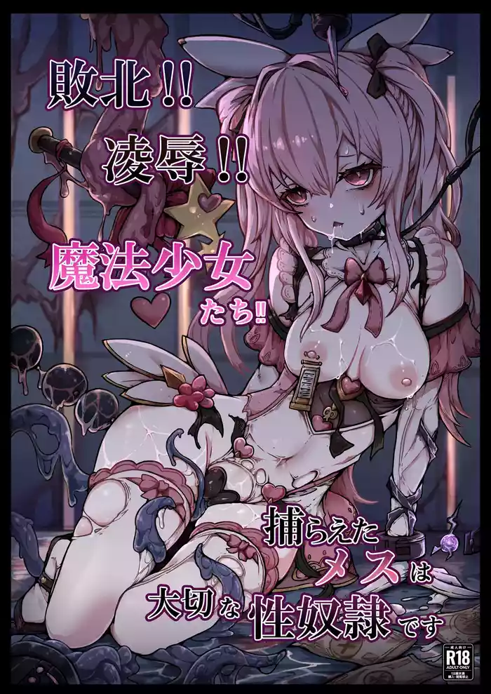 Haiboku!! Ryoujoku!! Mahou Shoujo-tachi!! Toraeta Mesu wa Taisetsu na Seidorei Desu