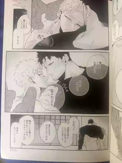 My heroAcademia endever