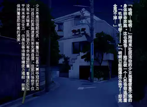 Pure Radiance Primula