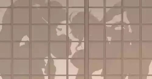 [KeinV] Takoku Goudou Chousa Team Inazuma (Genshin Impact)