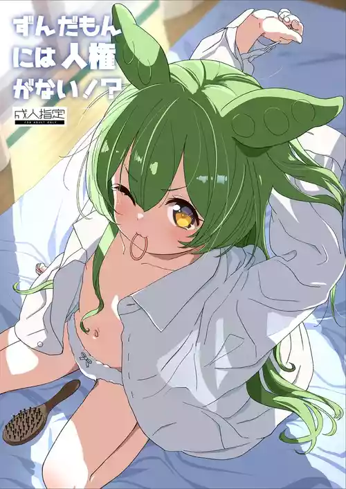 [Bizensiki Roroppu (Bizen)] Zundamon ni wa Jinken ga Nai!? (VOICEROID) [Digital]