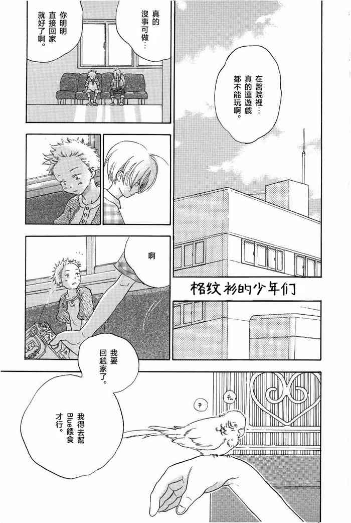 ギンガムチェック・ベイビースターズ