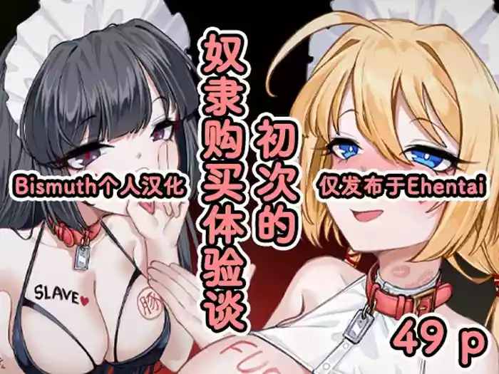 ～ hazi mete no yatu○ kounyuu taikendan～ | ～初次的奴隶购买体验谈～