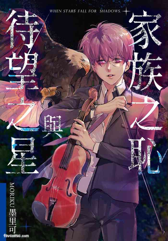家族之恥與待望之星︱家族之耻与待望之星 南法篇 gallery cover