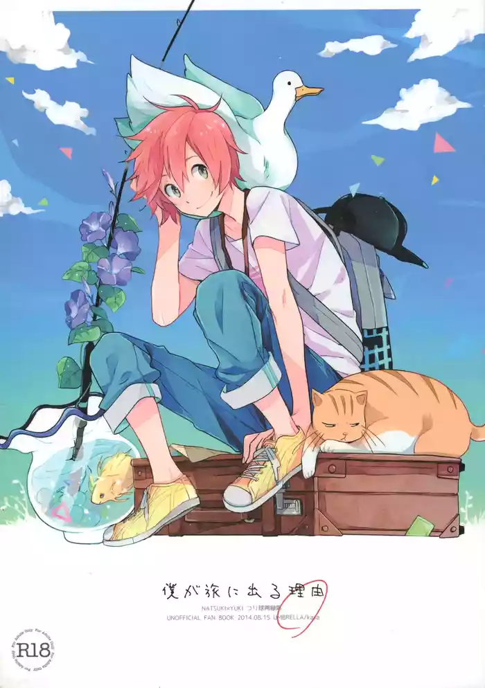 BOKU GA TABI NI DERU RIYU