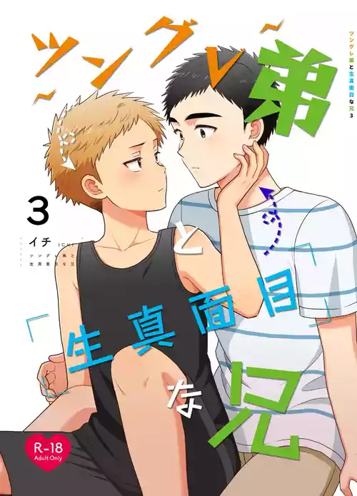 [Suita Kobara ni Choudo Ii (ichi)] Tsungure Otouto to Kimajime na Ani 3 [Digital]