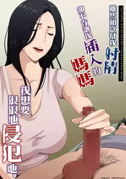 [Daidai Shikibu] Nuite Kureru kedo Iresasete Kurenai kaasan wo Mechakucha ni Okashite Mitai
