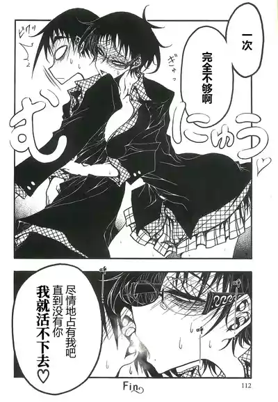 Page 113