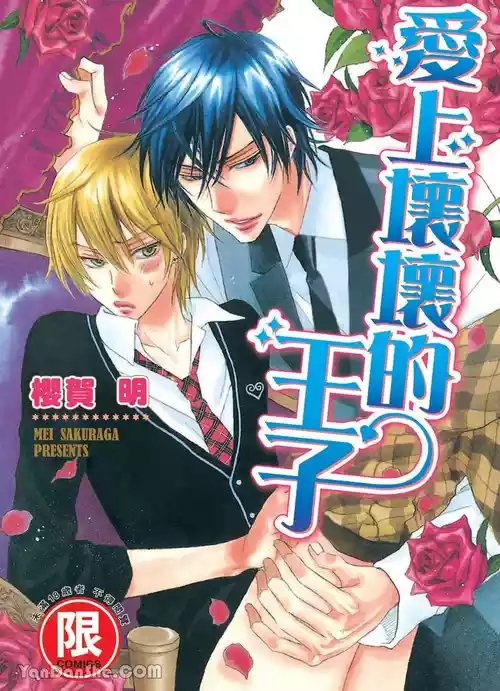 [SAKURAGA Mei] Warui Ōji Demo Suki｜爱上坏坏的王子 [Chinese][全1卷]