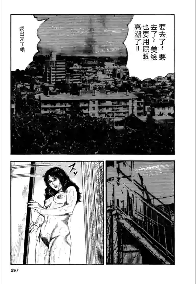 Page 263